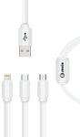 3IN1 Type-C Flat Cable