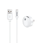 mini USB Wall Charger Lightning