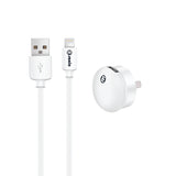 mini USB Wall Charger Lightning