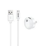 mini USB Wall Charger MicroUSB