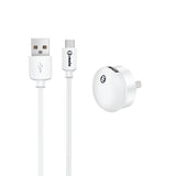 mini USB Wall Charger MicroUSB