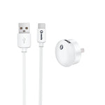 mini USB Wall Charger Type-C
