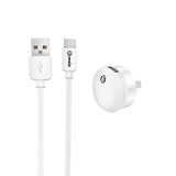 mini USB Wall Charger Type-C